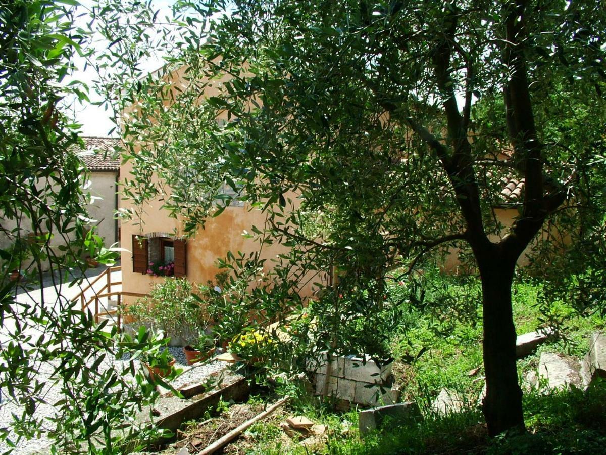 Farm stay La Scuderia Galzignano Terme